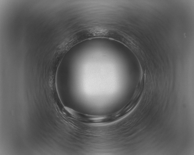 X0000056370604200509021816