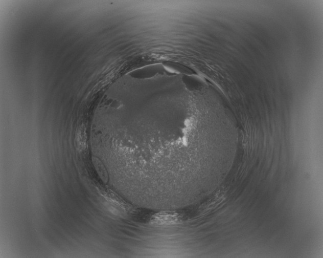 X0000056370606200509021816