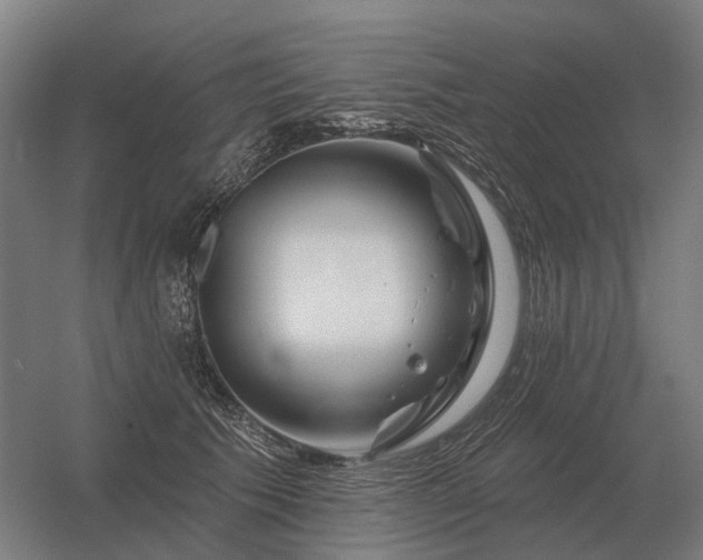 X0000056370609200509021816