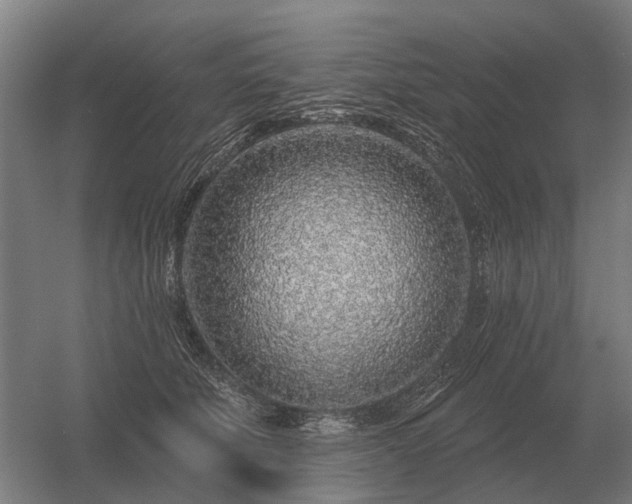 X0000056370610200509021816