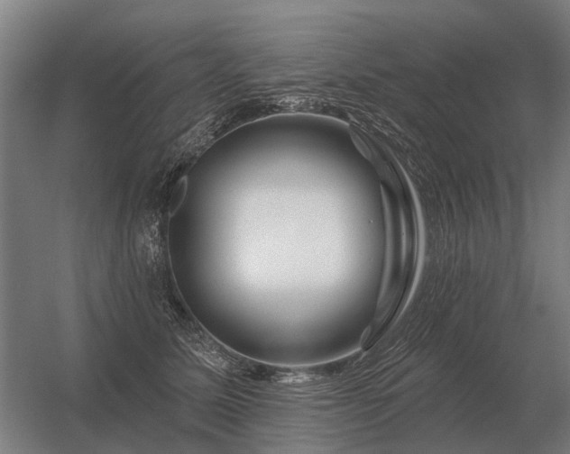 X0000056370611200509021816