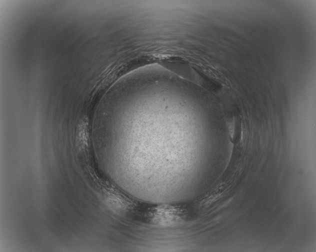 X0000056370612200509021816