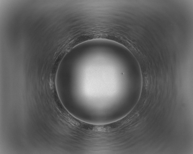 X0000056370613200509021816