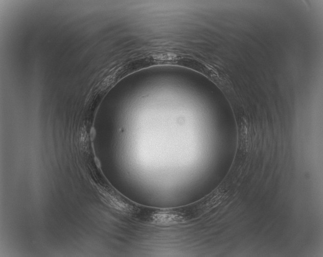 X0000056370614200509021816