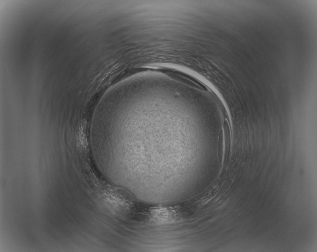 X0000056370616200509021816