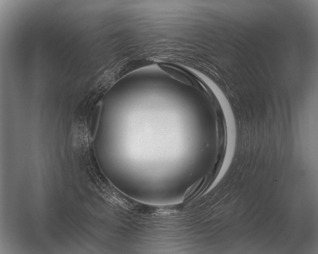 X0000056370617200509021816