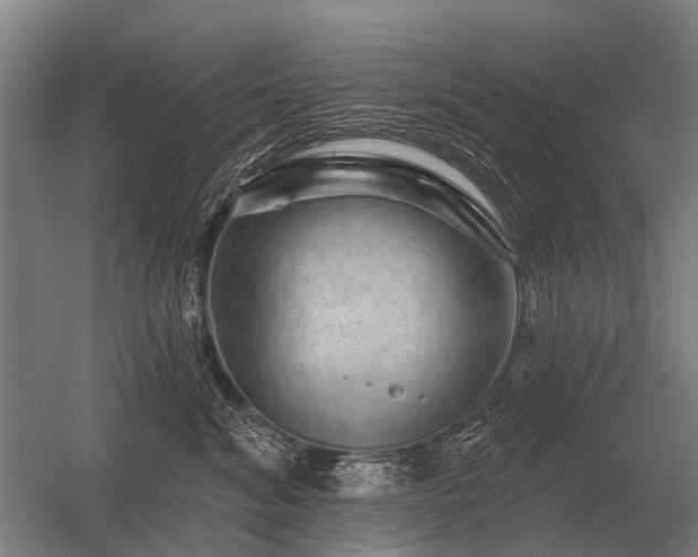 X0000056370620200509021816