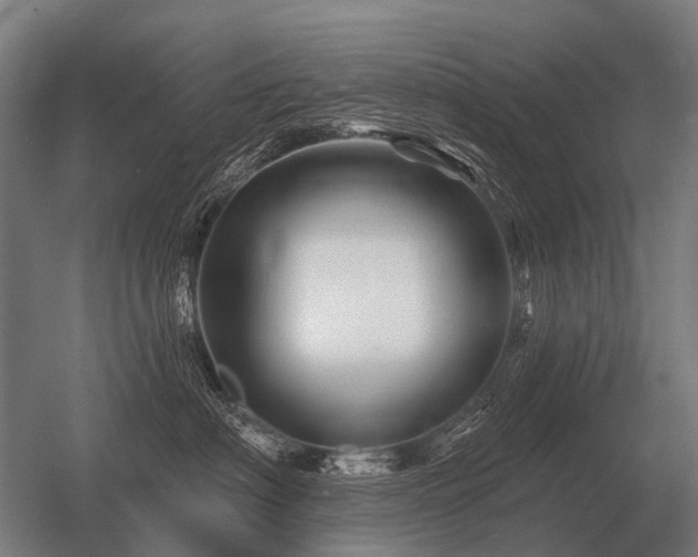 X0000056370622200509021816