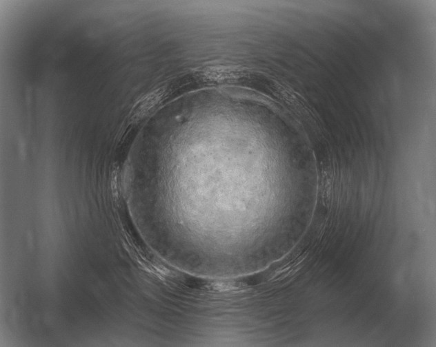 X0000056370623200509021816