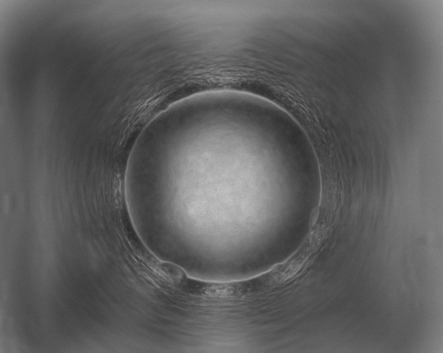 X0000056370624200509021816