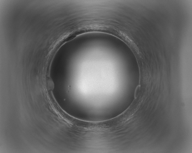 X0000056370625200509021815