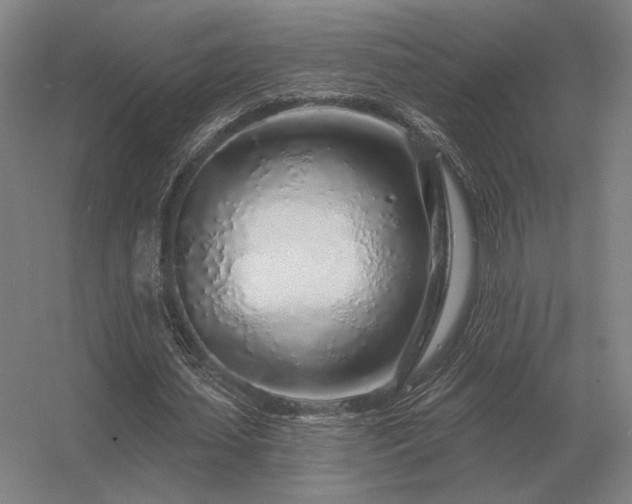 X0000056370627200509021815