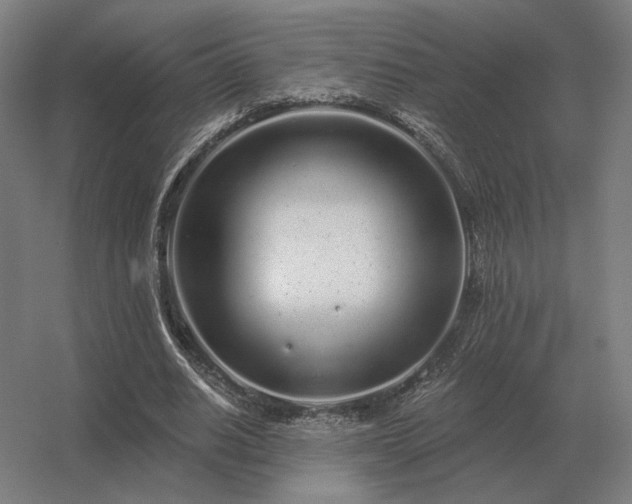 X0000056370630200509021815