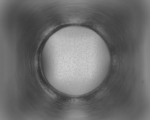 X0000056370632200509021815