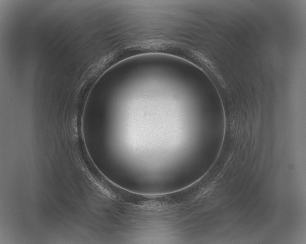 X0000056370633200509021815