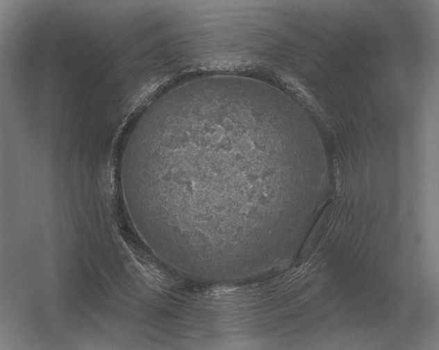 X0000056370636200509021815