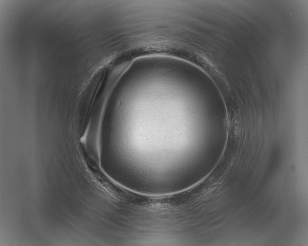 X0000056370637200509021815