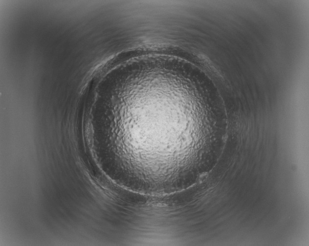 X0000056370640200509021815