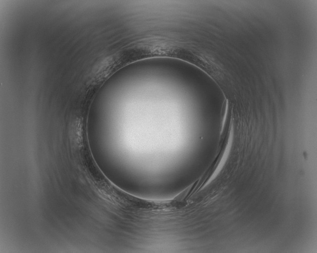 X0000056370646200509021815