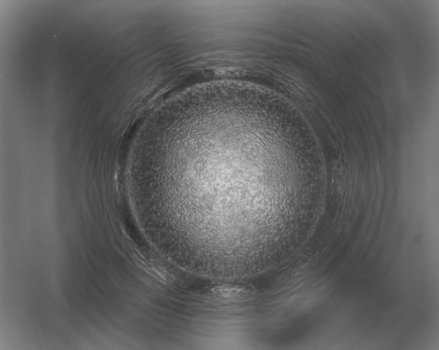 X0000056370650200509021815