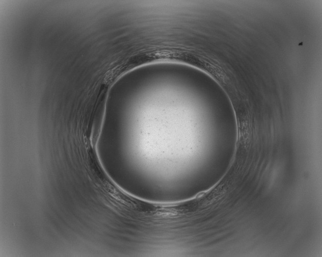 X0000056370653200509021815