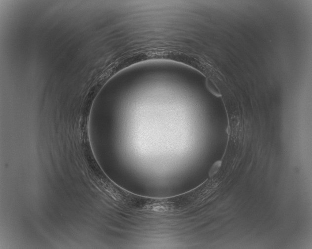 X0000056370655200509021815