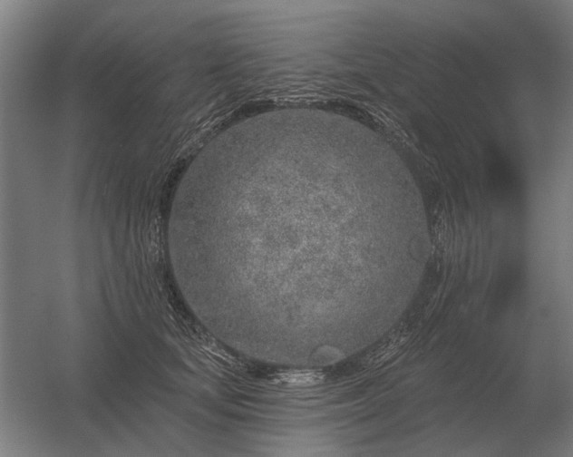 X0000056370659200509021815