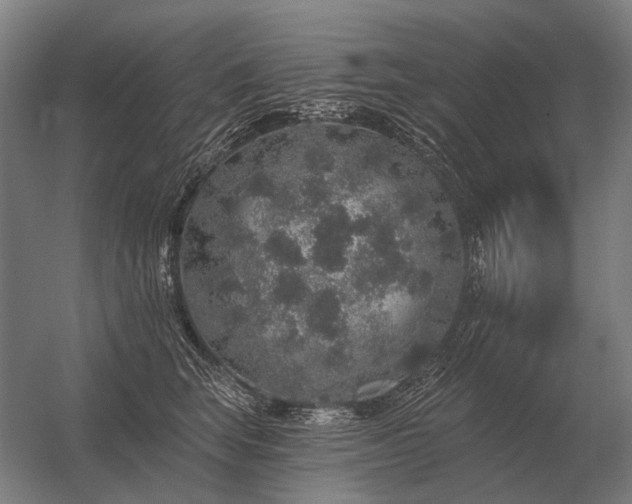 X0000056370663200509021816