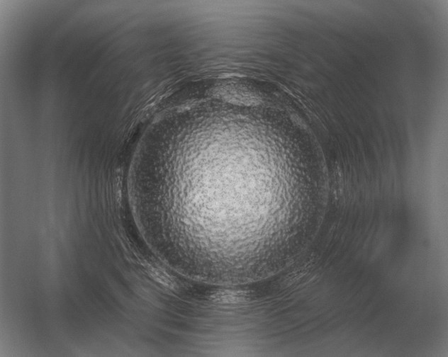 X0000056370664200509021816