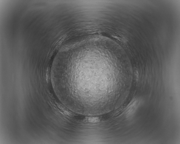 X0000056370665200509021816