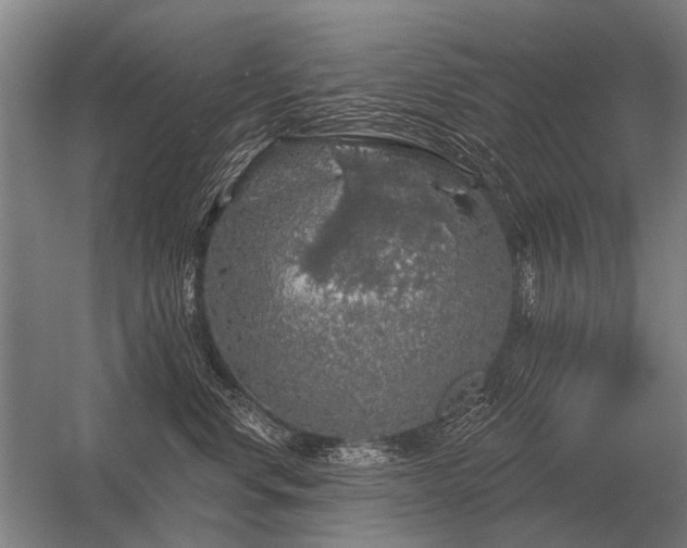 X0000056370668200509021816