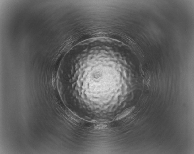 X0000056370669200509021816