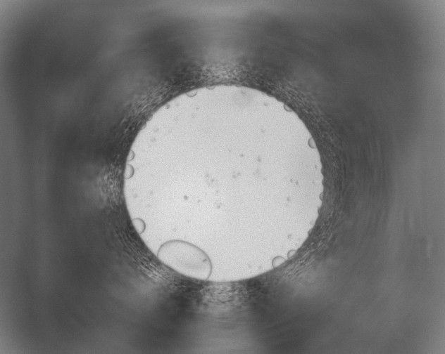 X0000056370672200509021816