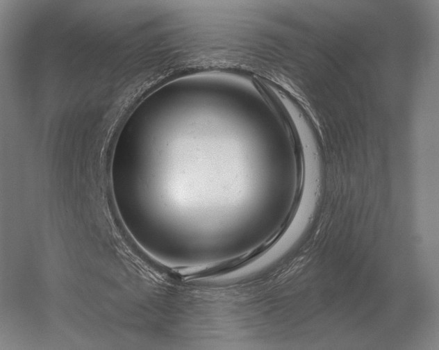 X0000056370673200509021815