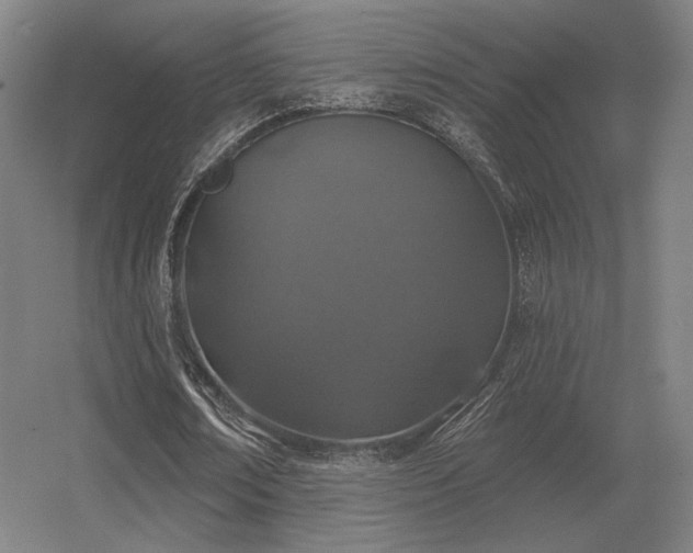 X0000056370674200509021815