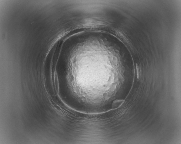 X0000056370675200509021815