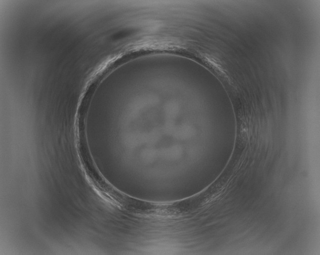 X0000056370678200509021815