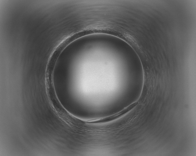 X0000056370680200509021815