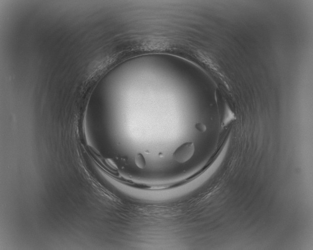 X0000056370681200509021815