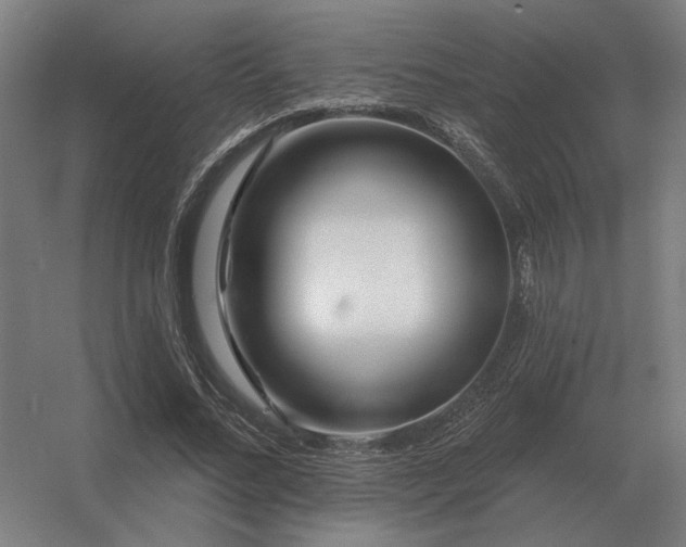 X0000056370684200509021815