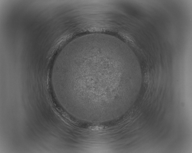 X0000056370687200509021815