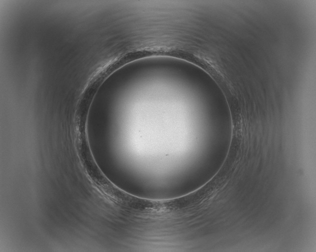 X0000056370688200509021815