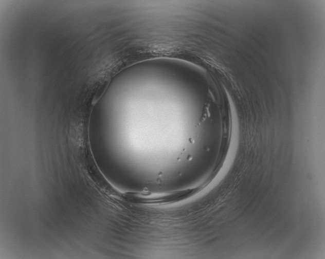 X0000056370689200509021815