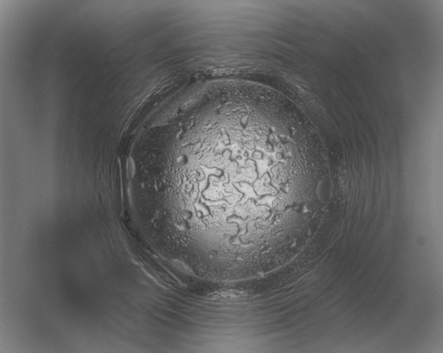 X0000056370691200509021815