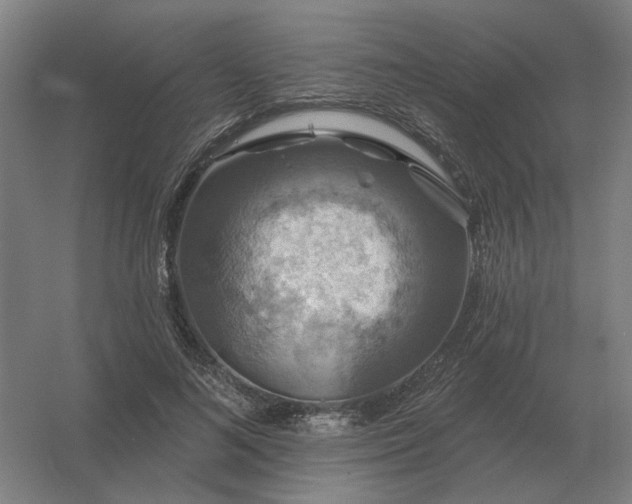 X0000056370692200509021815