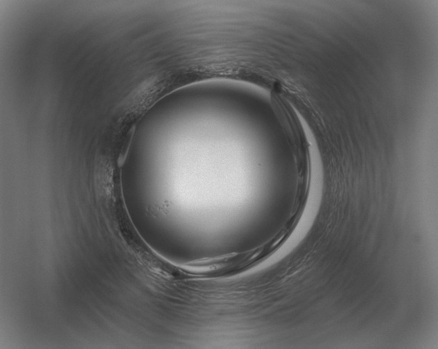 X0000056370693200509021814