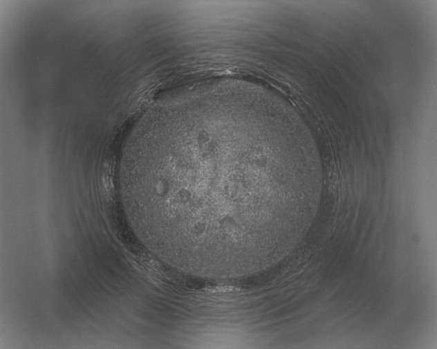 X0000056370695200509021814