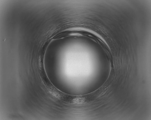 X0000056370700200509021814