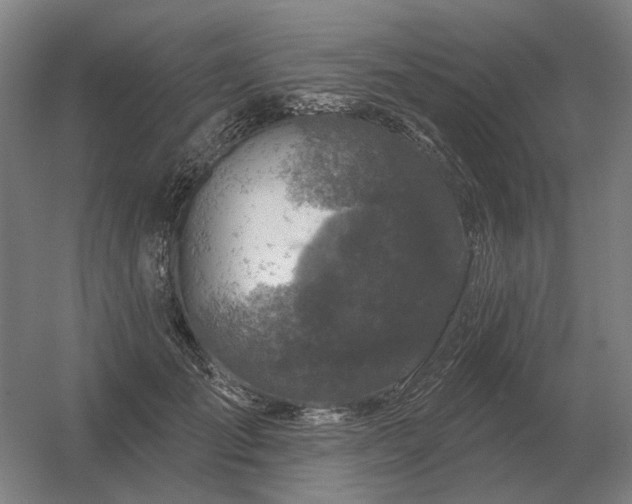 X0000056370701200509021814