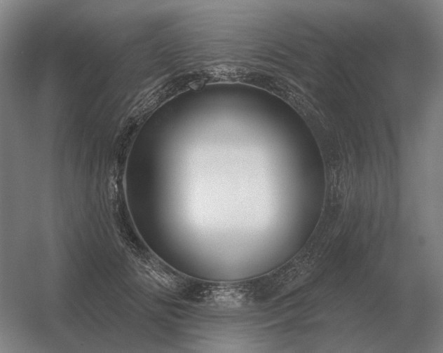 X0000056370702200509021814